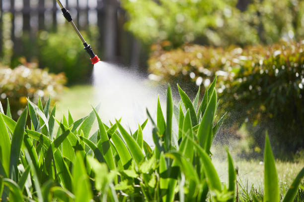 24/7 Emergency Cockroach Control experts in Glide, OR